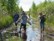 By foot - bridges among marshes