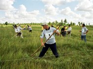 The Biebrza Haymaking