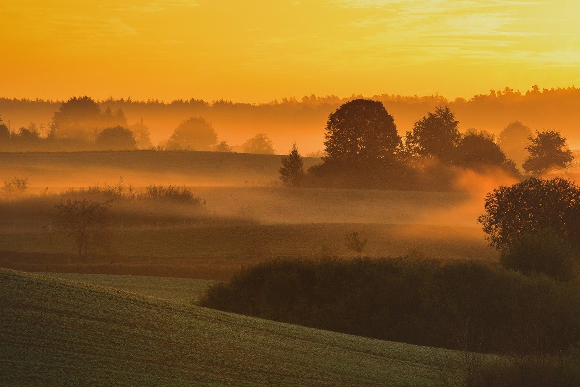 Fall’s Embrace: Poland’s Autumn Beauty