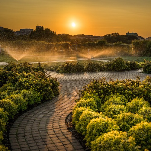 University of Warsaw Library - Garden