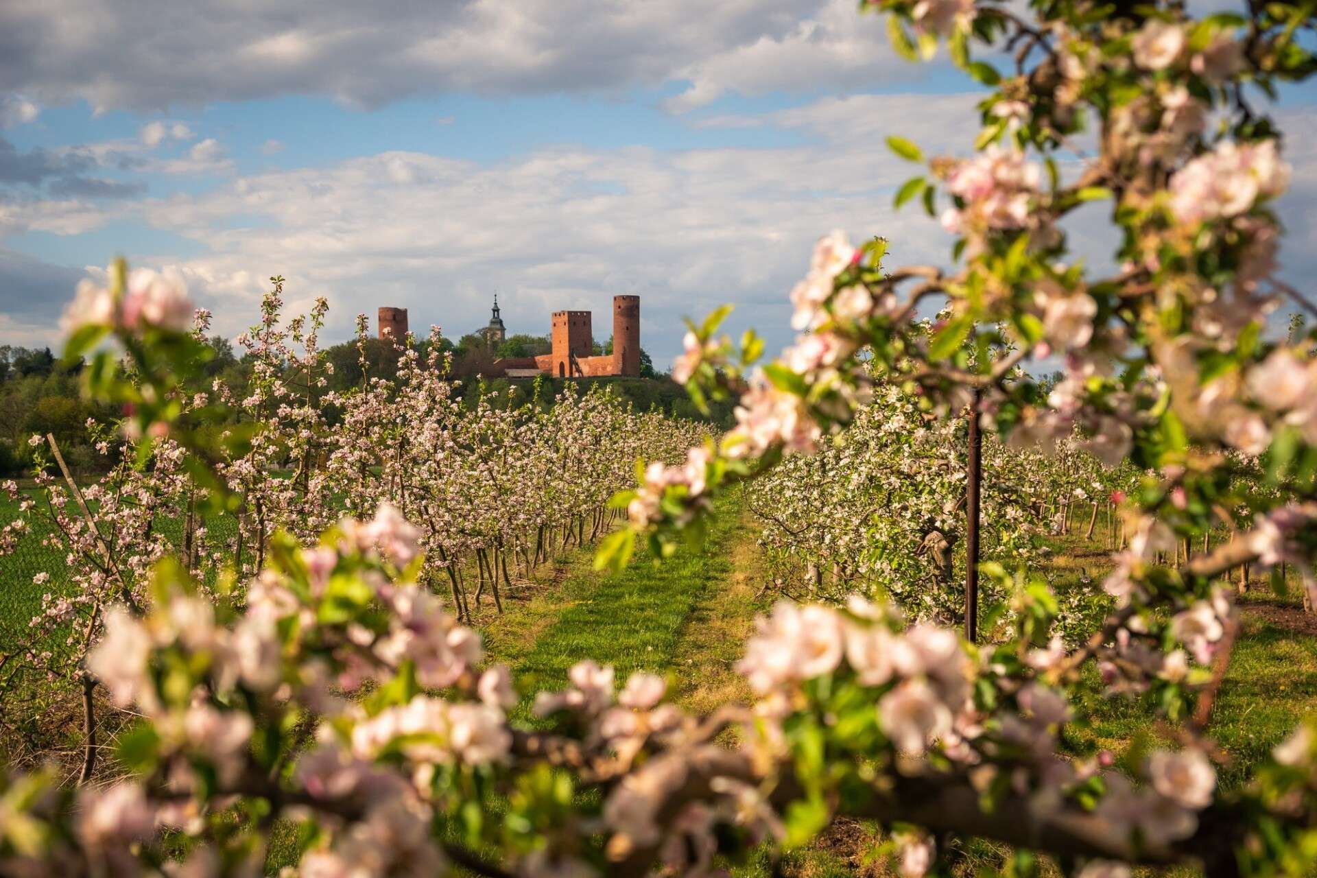 Spring in Poland 