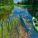 Summer in Poland 