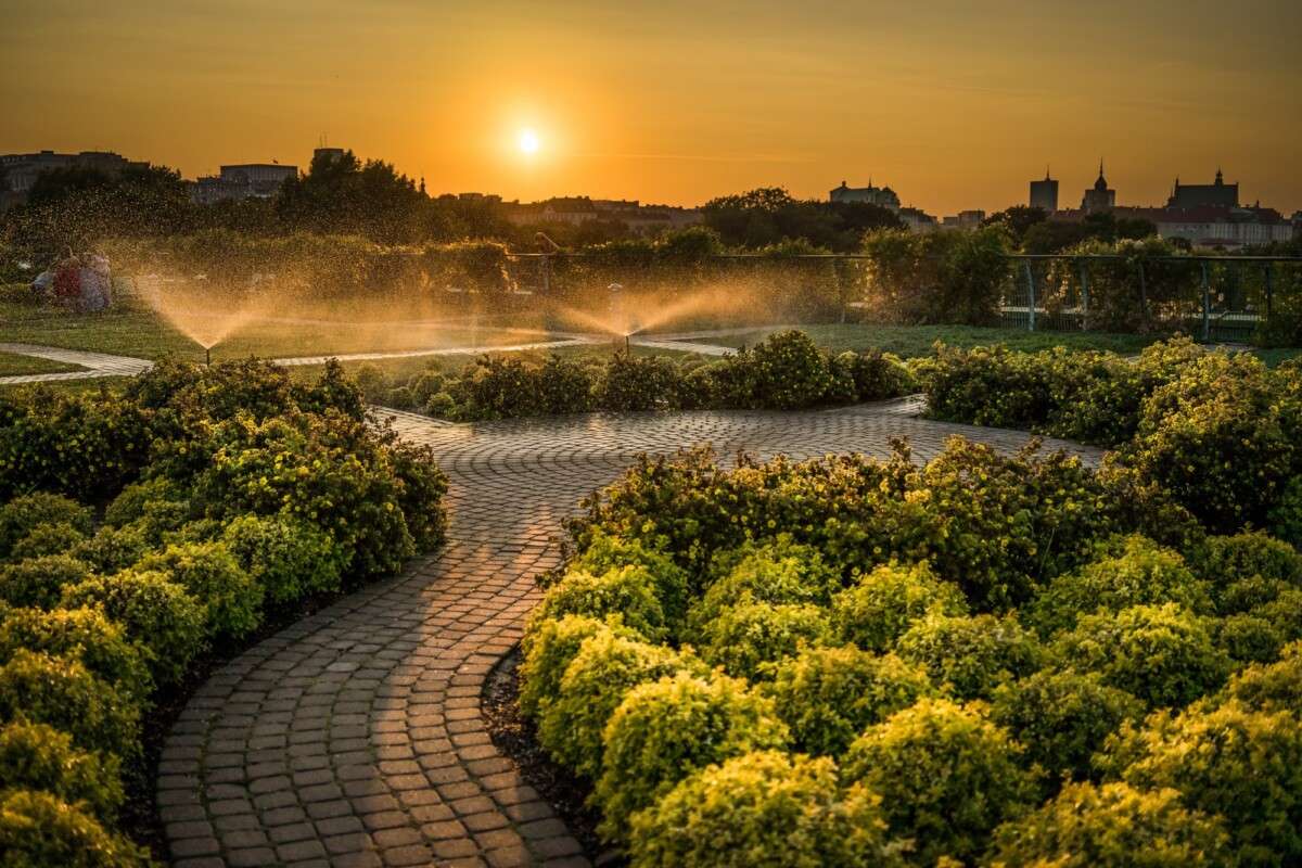 Warsaw Gardens BUW