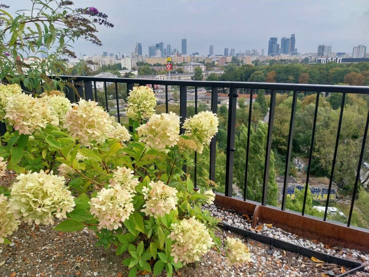 Warsaw Forest Campus terrace