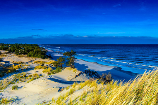 Endless sandy beaches