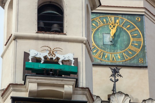 Poznan town hall tower with goats