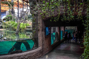 aquarium, people walking down a hall
