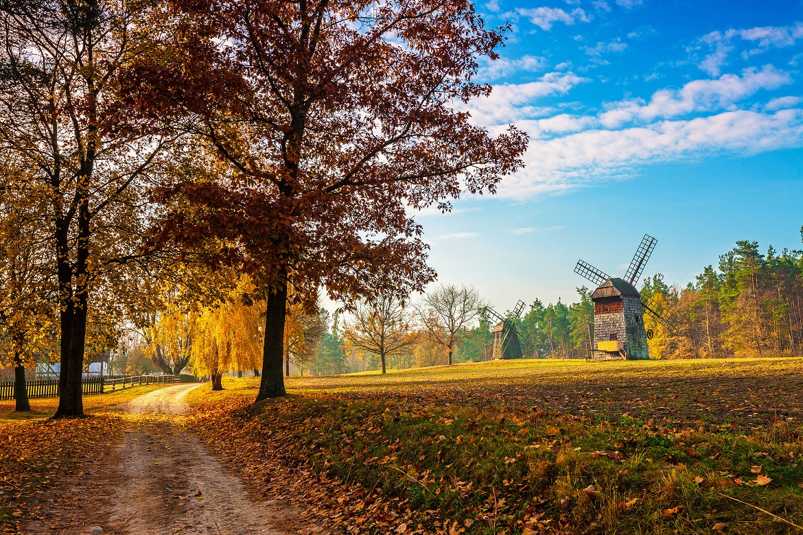 Country road with windmills in the fall