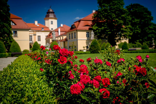 The Majestic Książ Castle Complex 