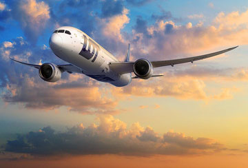 plane in the sky