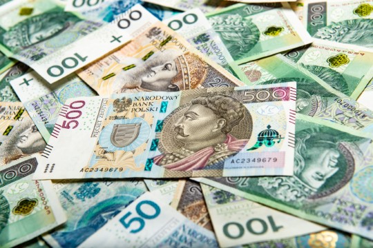 Polish currency