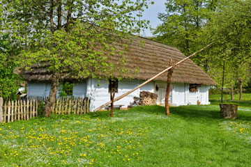 whitewashed house with thatchet roof