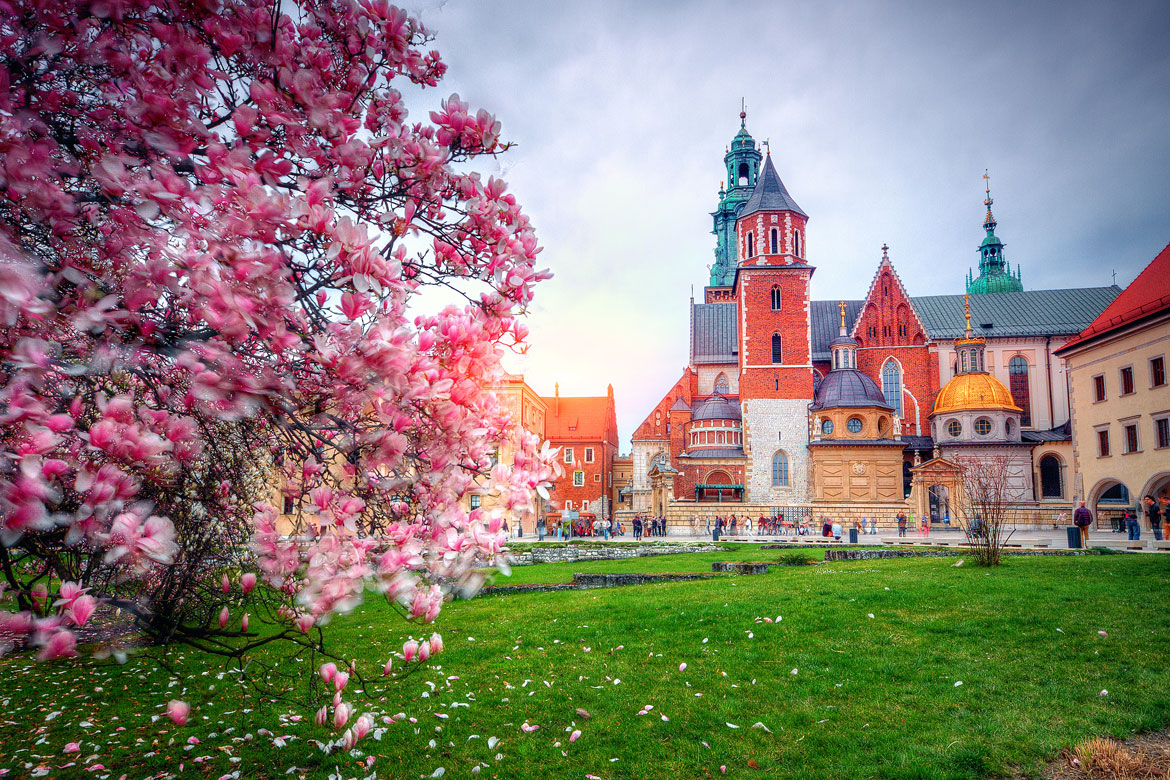 Kraków, Wawel, Spring