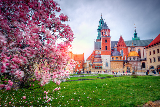 Kraków, Wawel, spring
