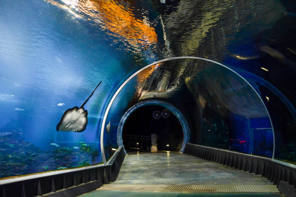 Afrykarium in Wroclaw