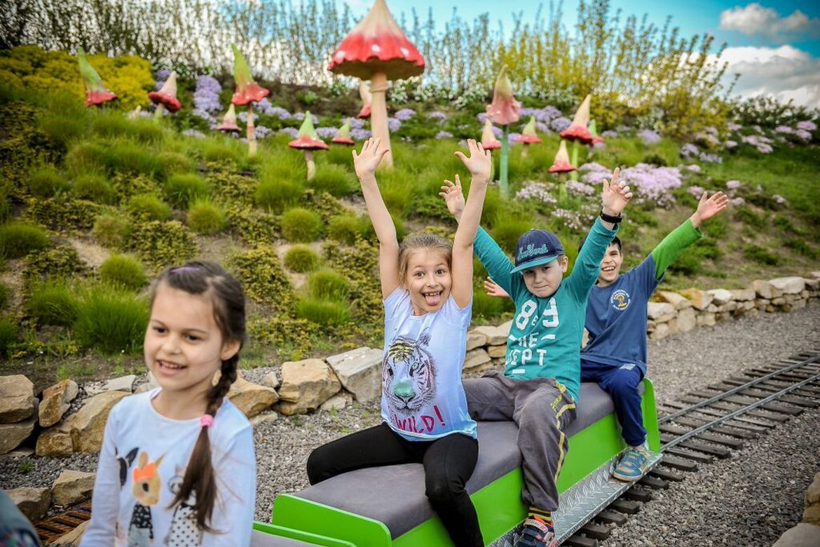 Magical Gardens in Janowiec