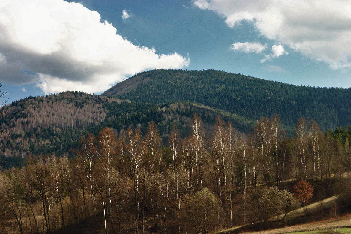 Gorczanski National Park