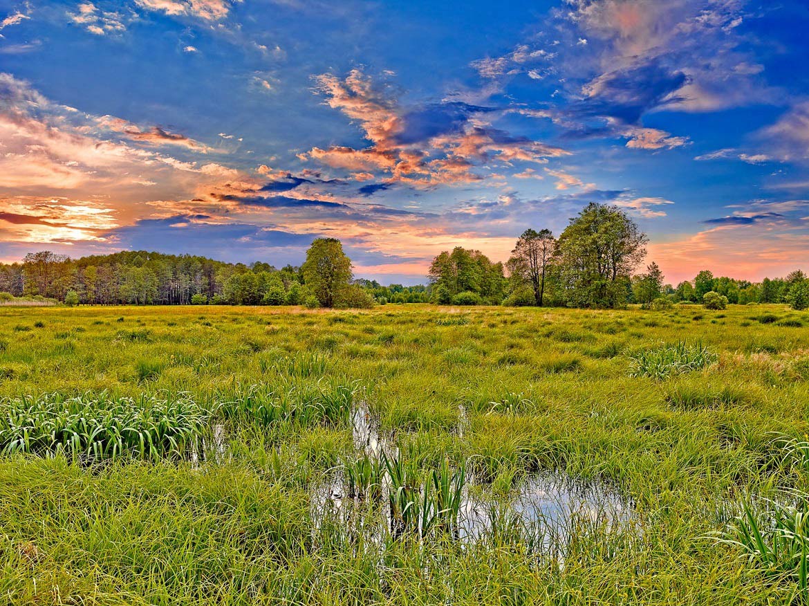 Kampinoski National Park