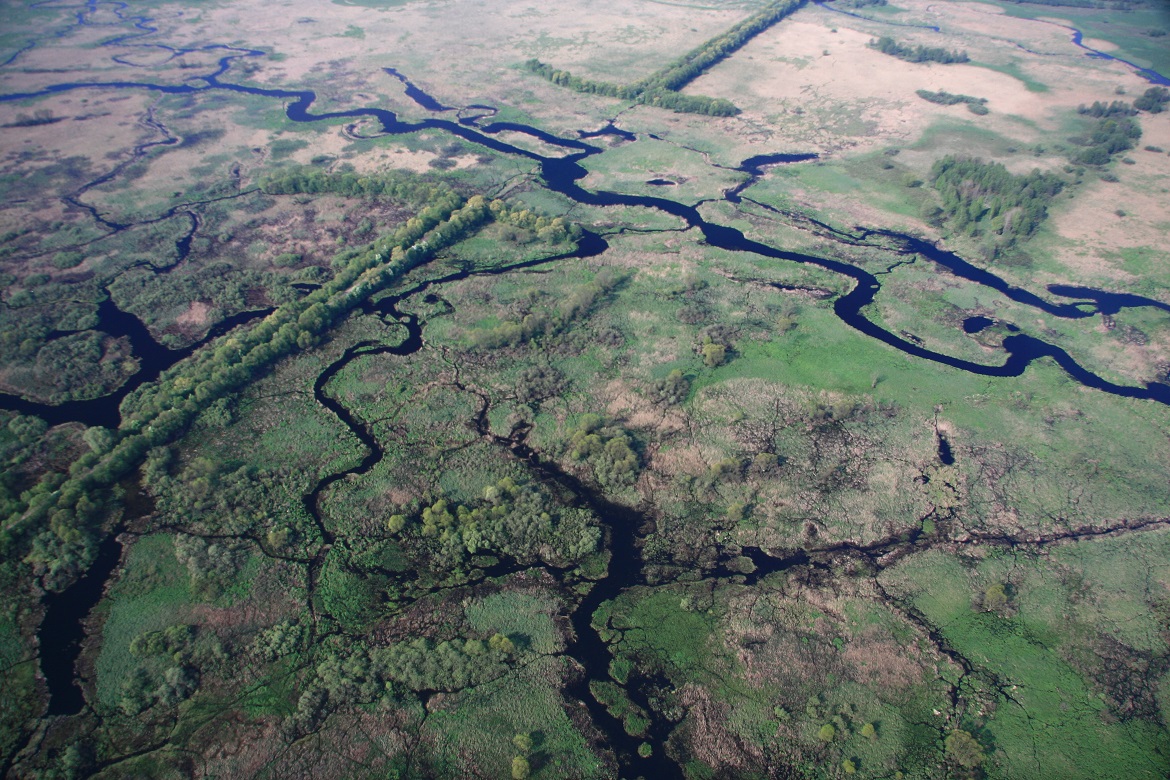 Narwianski National Park