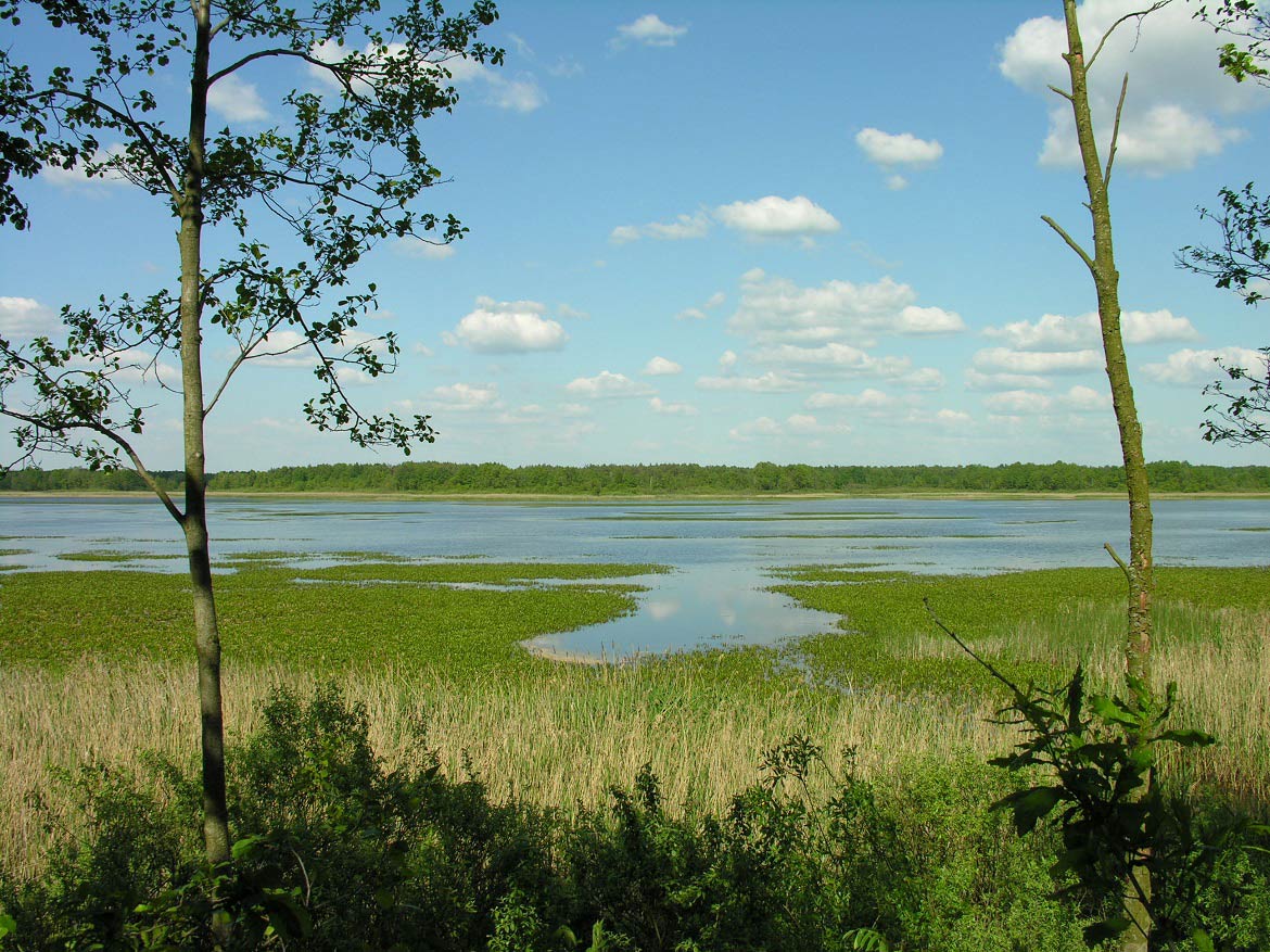 Poleski National Park