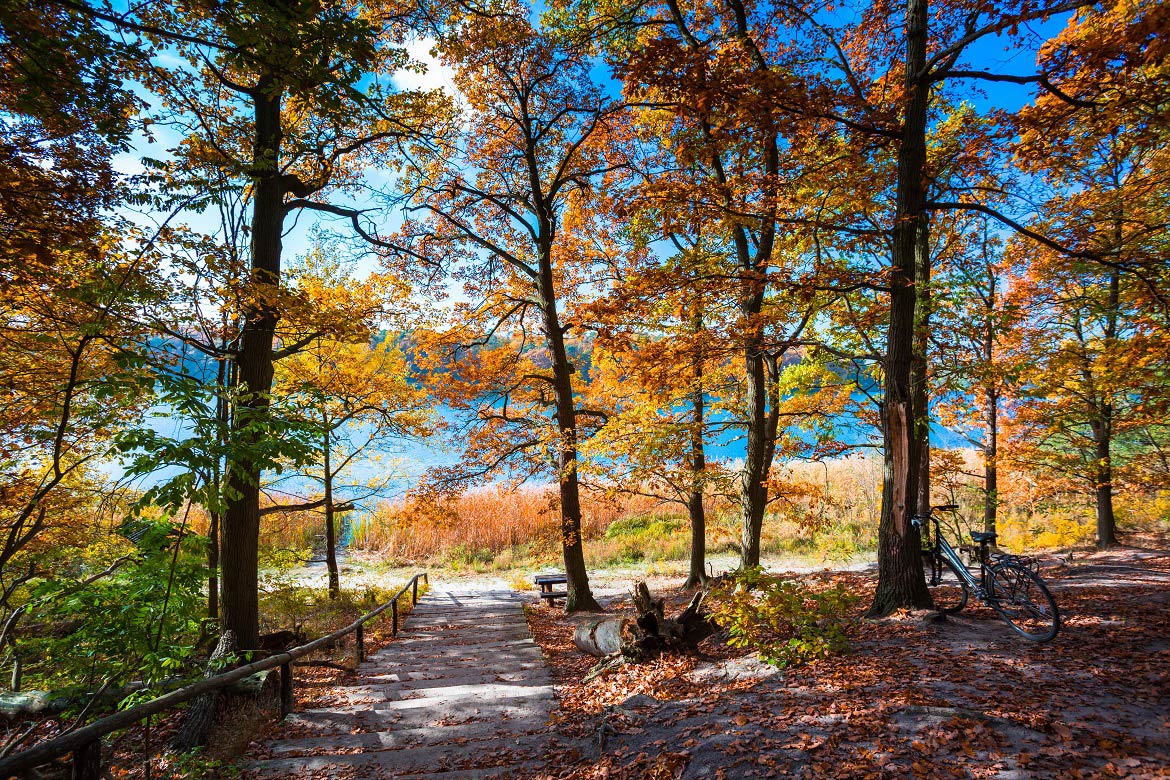 Wielkopolski National Park