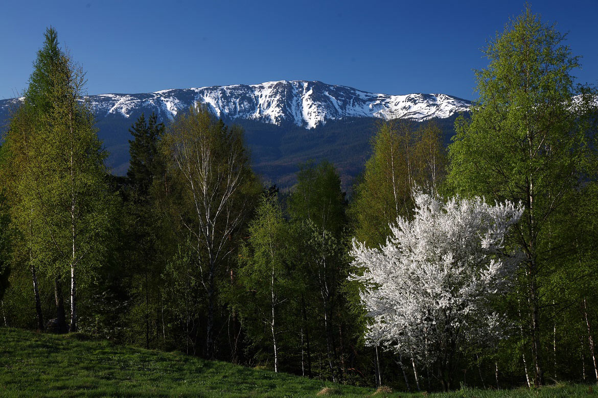 Babiogorski National Park