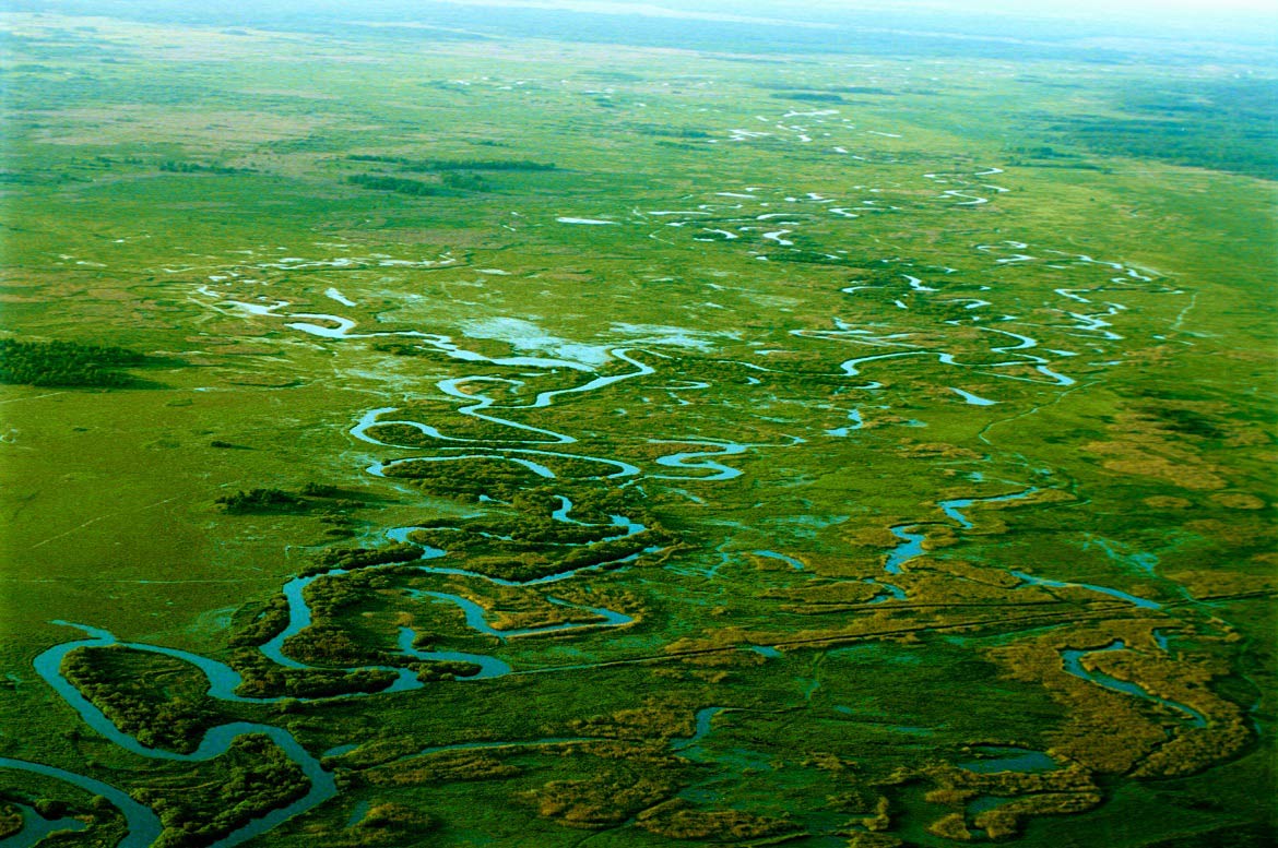 Biebrza river