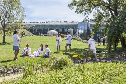 Leisure in Urban Green Spaces