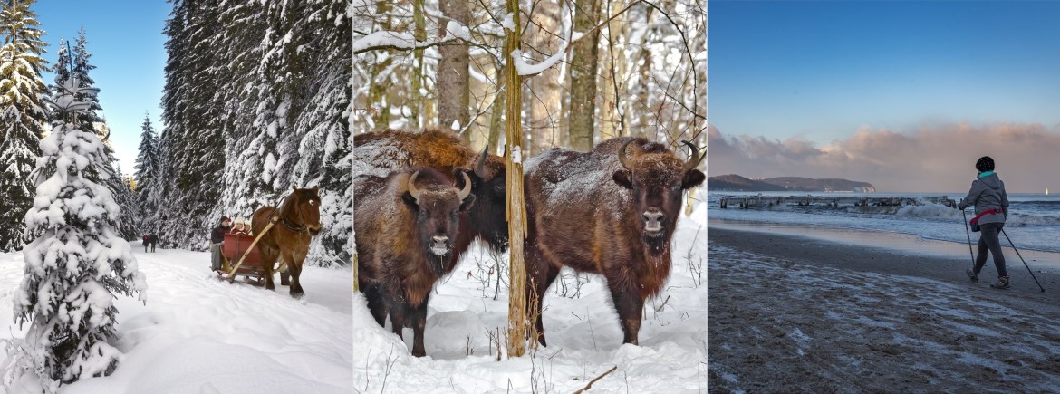 Poland - your best winter destination
