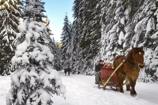 Poland - your best winter destination