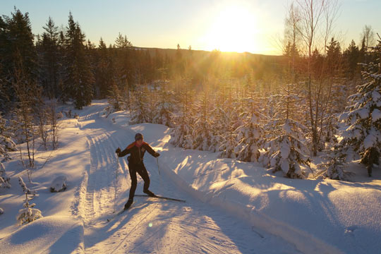 Cross-country skiing