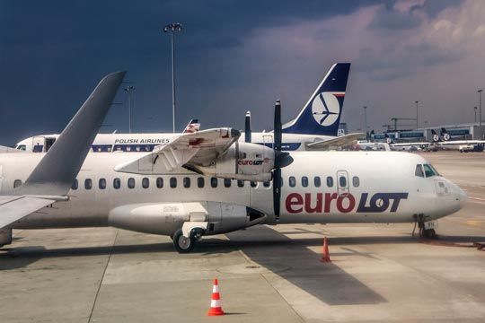 Domestic flights