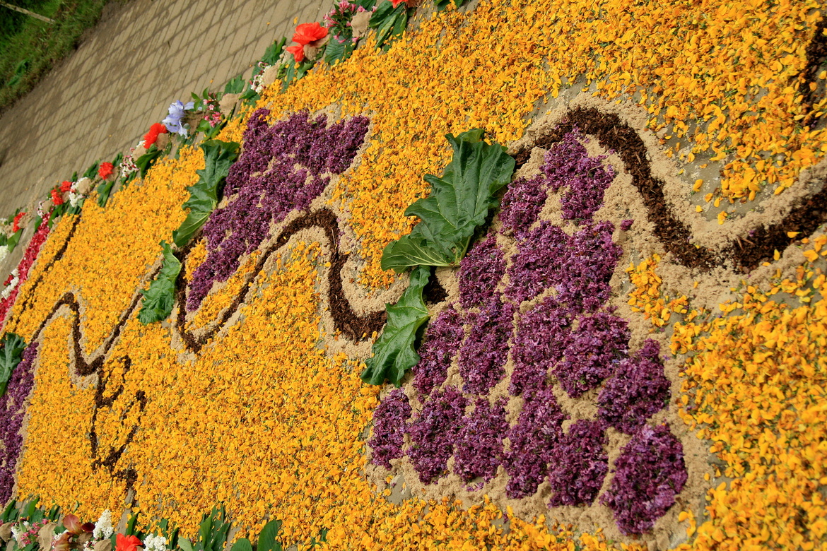 ユネスコ無形文化遺産「スピチミェシュの花の道」