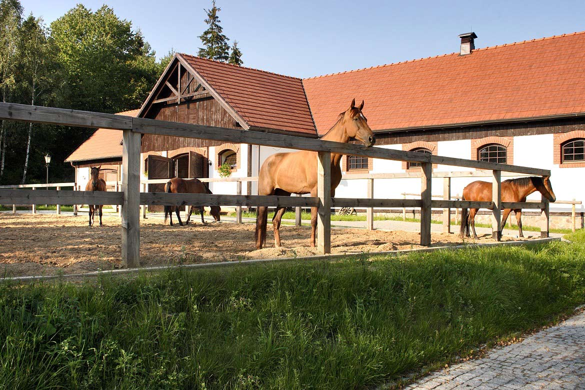 ワルシャワのスウジェヴィエツ競馬場