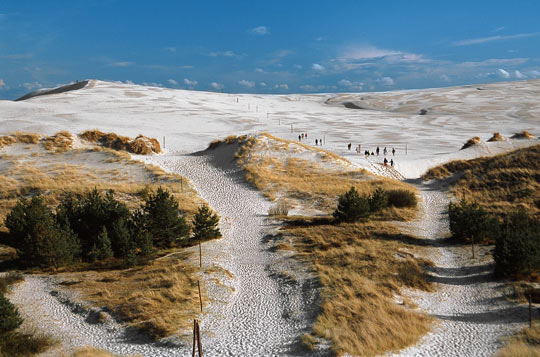 北ポーランドの移動砂丘は鳥取砂丘の70倍