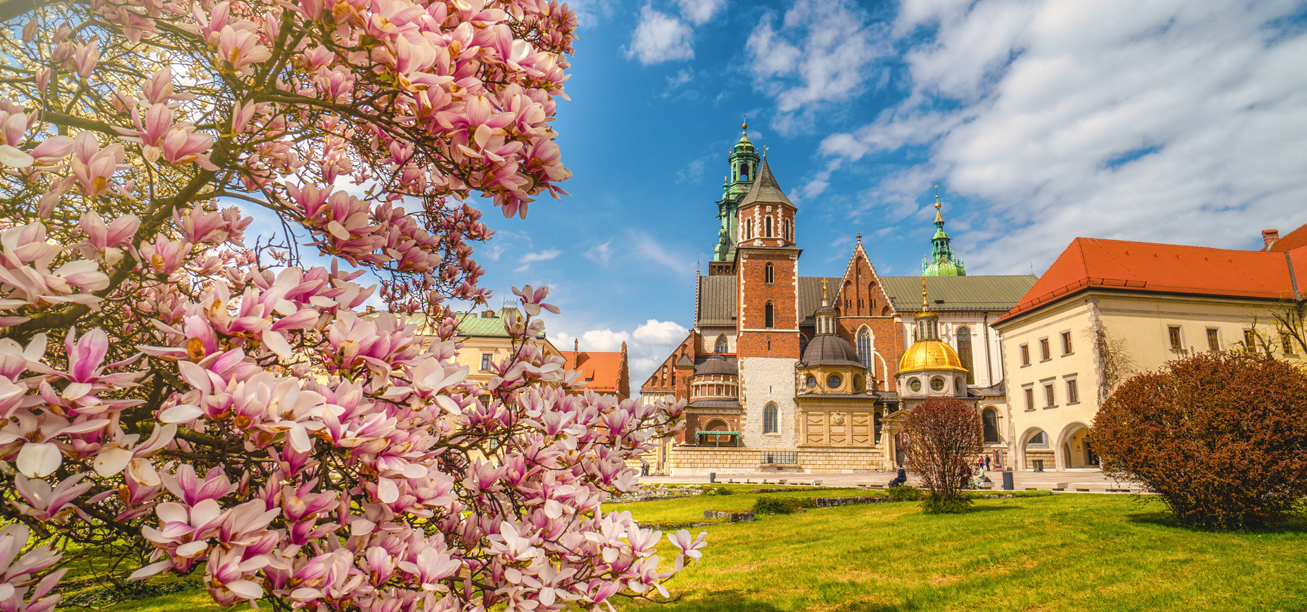 ようこそポーランドへ! ポーランド 政府観光局 公式サイト