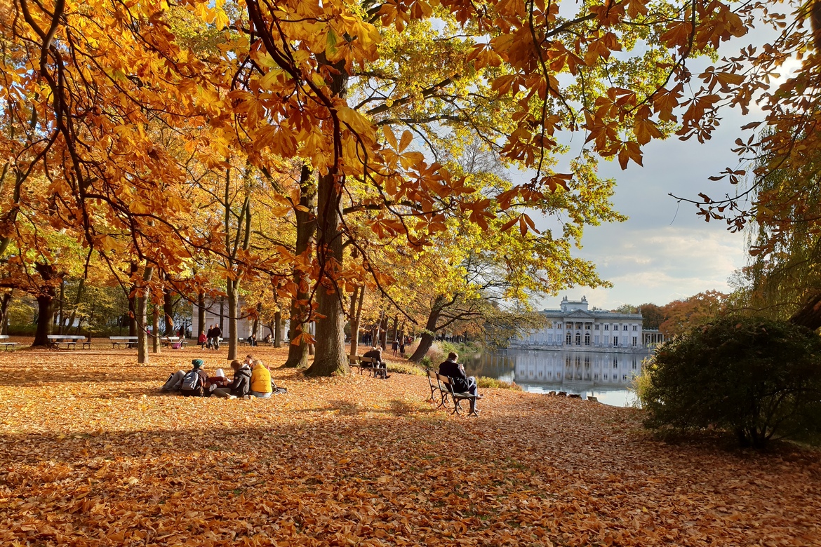 the Royal Łazienki Park in Warsaw