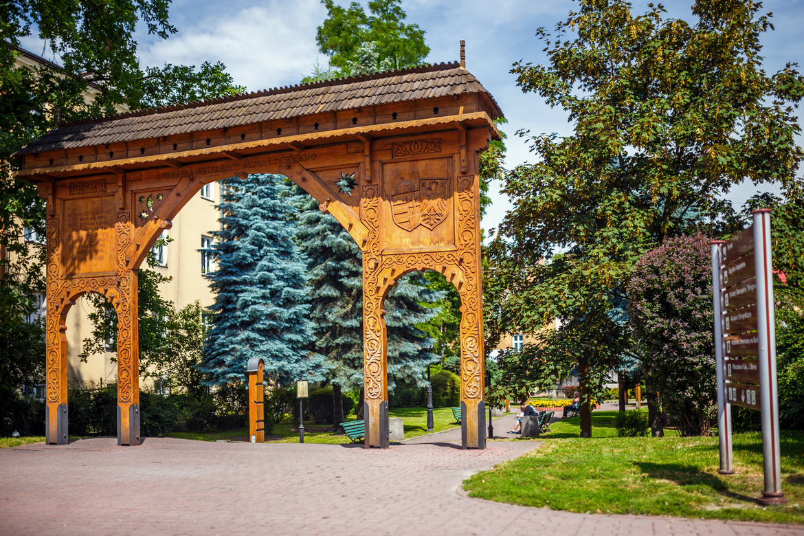 Тарнув