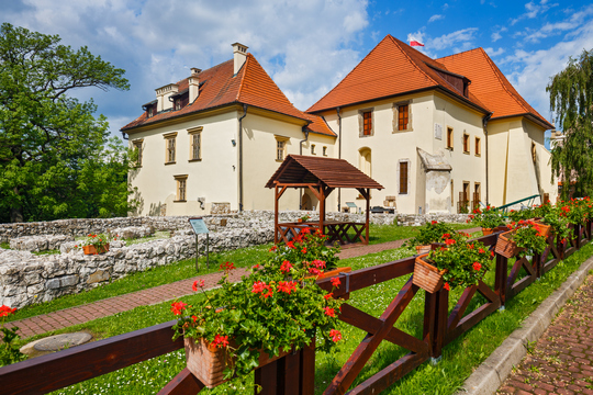 wieliczka_zamek_zupny_540.jpg