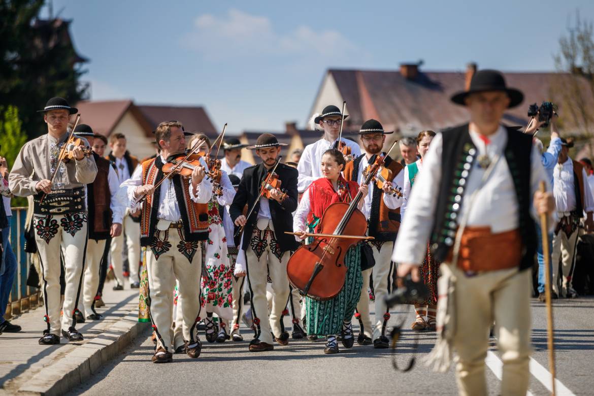 REDYK - traditionell marsch av högländarna med får