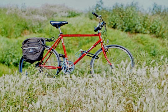 Cyklar