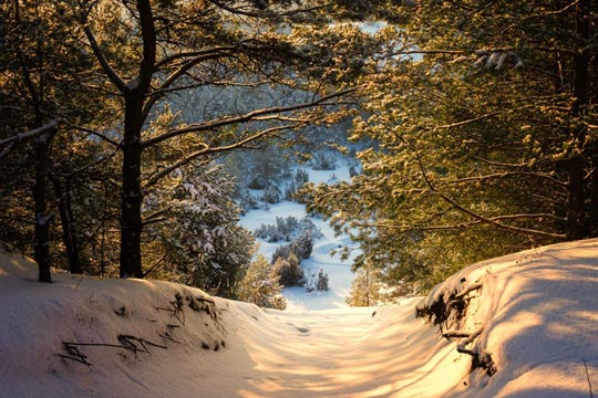 Kälkbanor