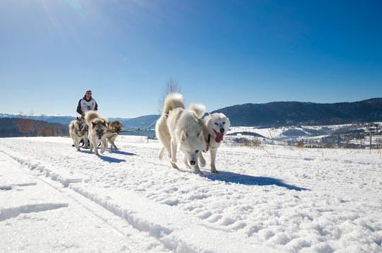 Bieszczady-bergen