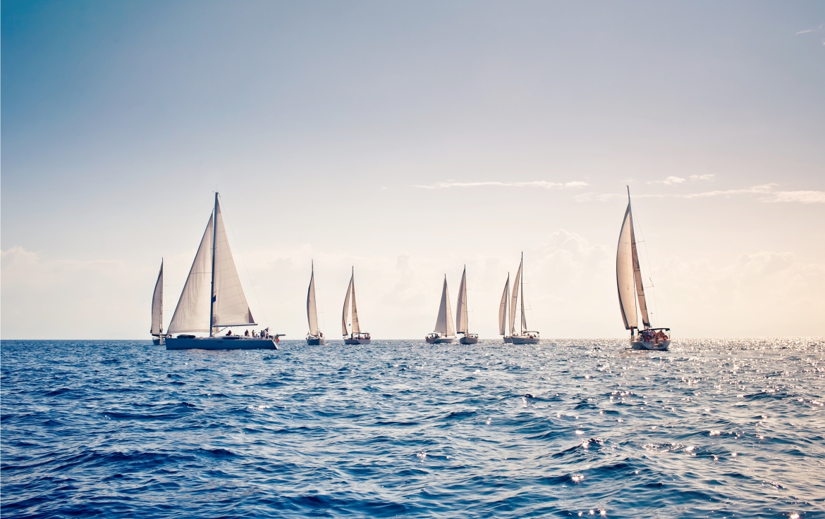 wind_1170.jpg