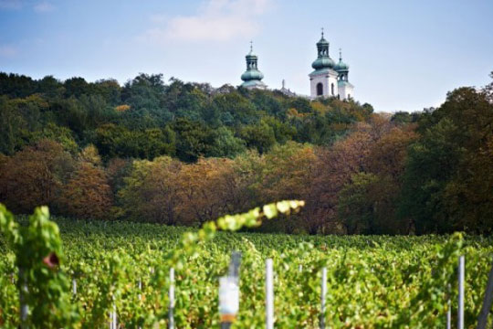 VIN – En ny lockelse i Polen