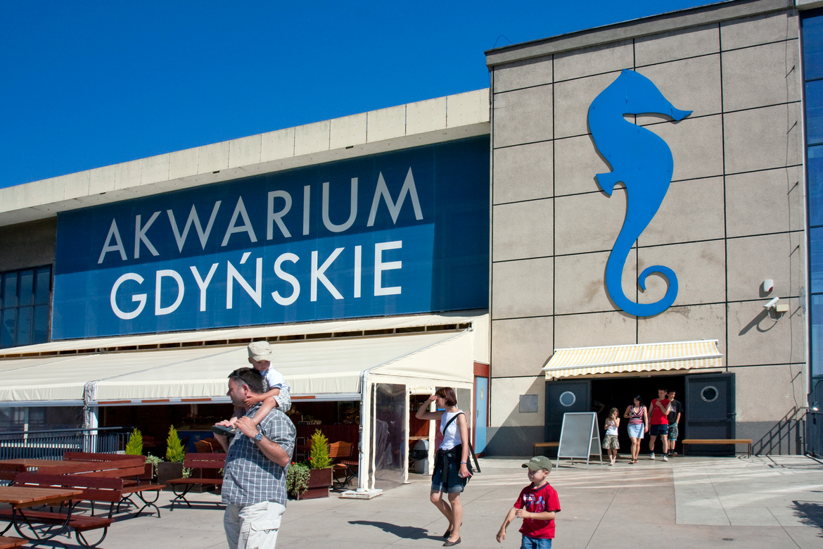 Gdynia akvarium