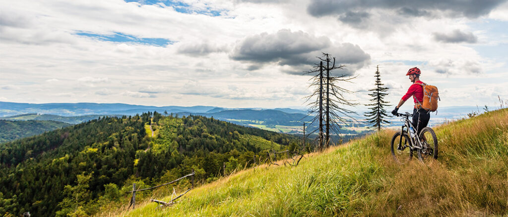Mountain biking. Sykkel-aktiv-turisme-1024x439.jpg
