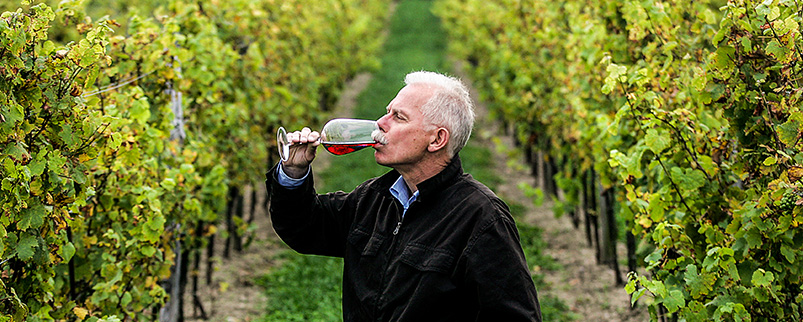 artikkelbilde-vin-1.jpg
