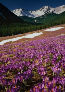 Tatra Nationalpark Tatra Nationalpark