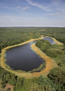 Wielkopolska Wielkopolska